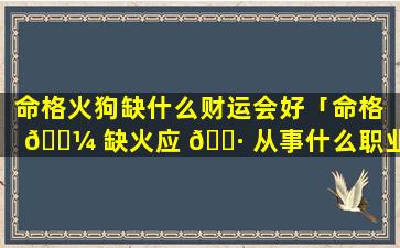 命格火狗缺什么财运会好「命格 🌼 缺火应 🕷 从事什么职业」